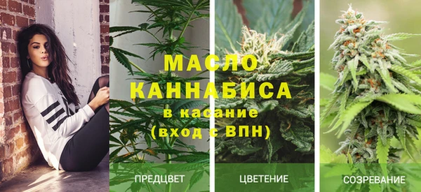 тгк Карпинск