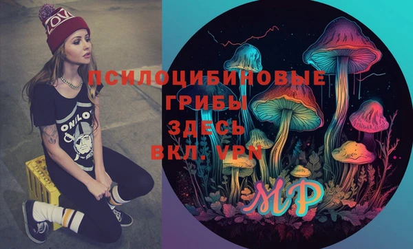 хмурый Карталы